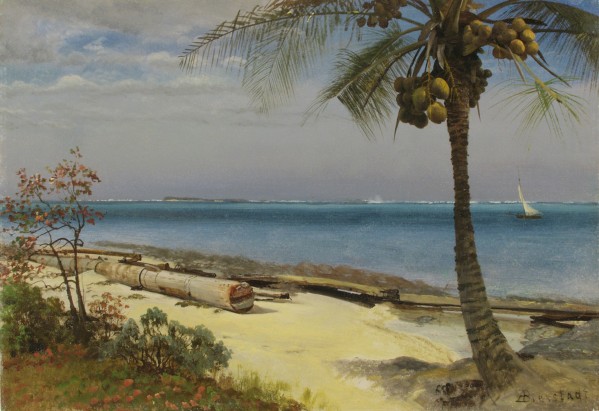 Tropical Landscape by Albert Bierstadt